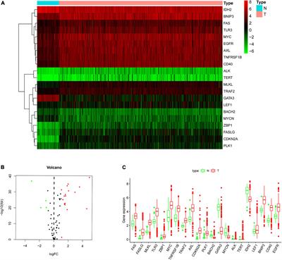 A prognosis model for clear cell renal cell carcinoma based on four necroptosis-related genes